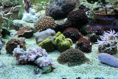 Killikus&reg; Fotographie